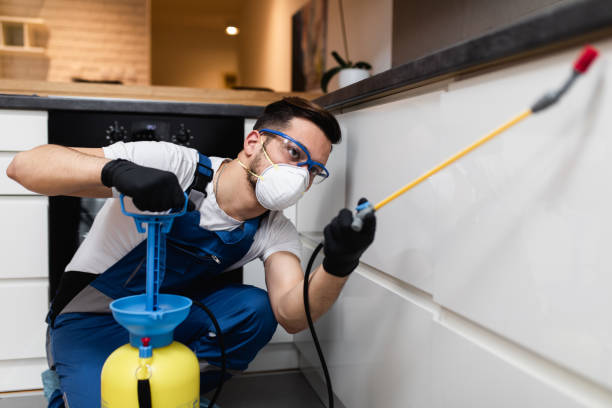 Best Local Pest Control Services  in Silver Grove, KY