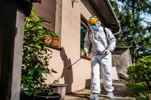 Best Pest Prevention Services  in Silver Grove, KY