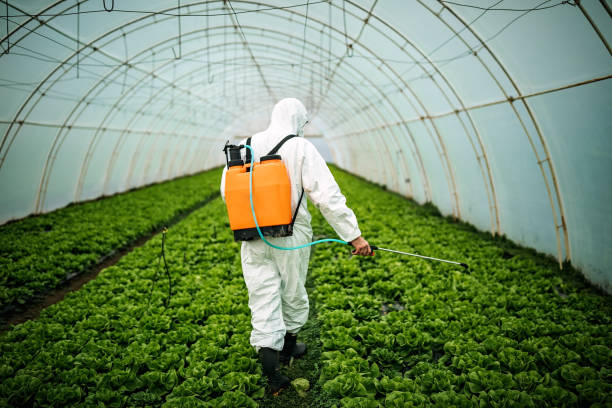 Best Pest Control Near Me  in Silver Grove, KY