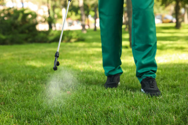 Best Ant Control Services  in Silver Grove, KY