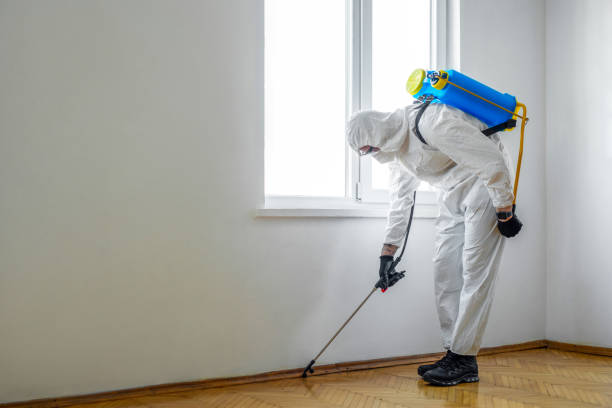 Best Best Pest Control Companies  in Silver Grove, KY