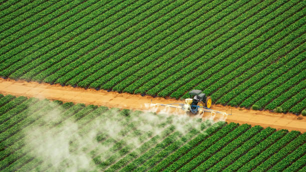 Best Mosquito Control Services  in Silver Grove, KY