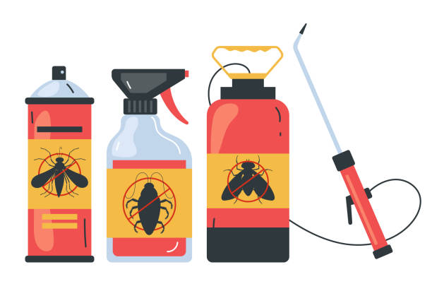 Best Wasp Removal Services  in Silver Grove, KY